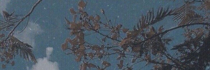 kyaudreyy's profile banner image
