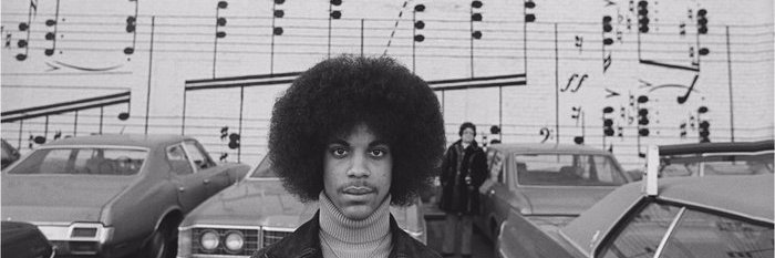 kristen ann cooper banner