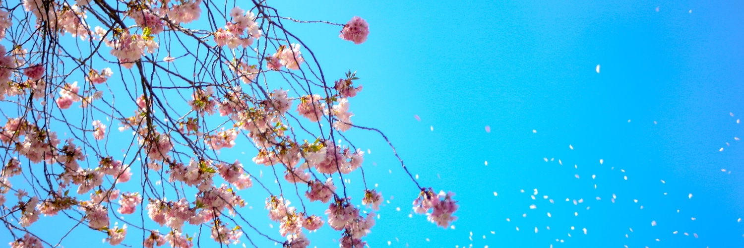 👑Michael Yan⚔️ banner