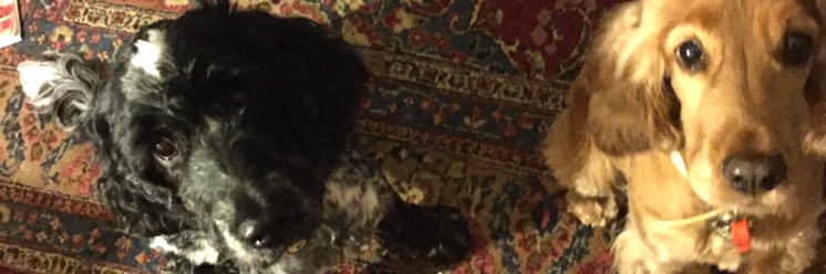 tangoOz's profile banner image