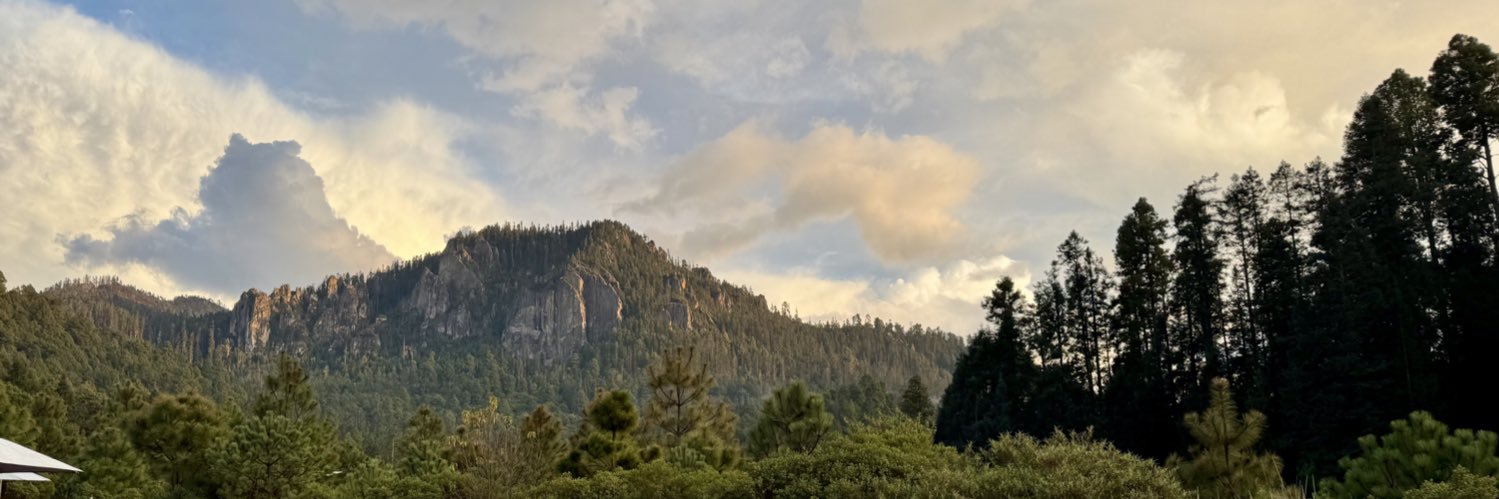 CarlosBntz's profile banner image
