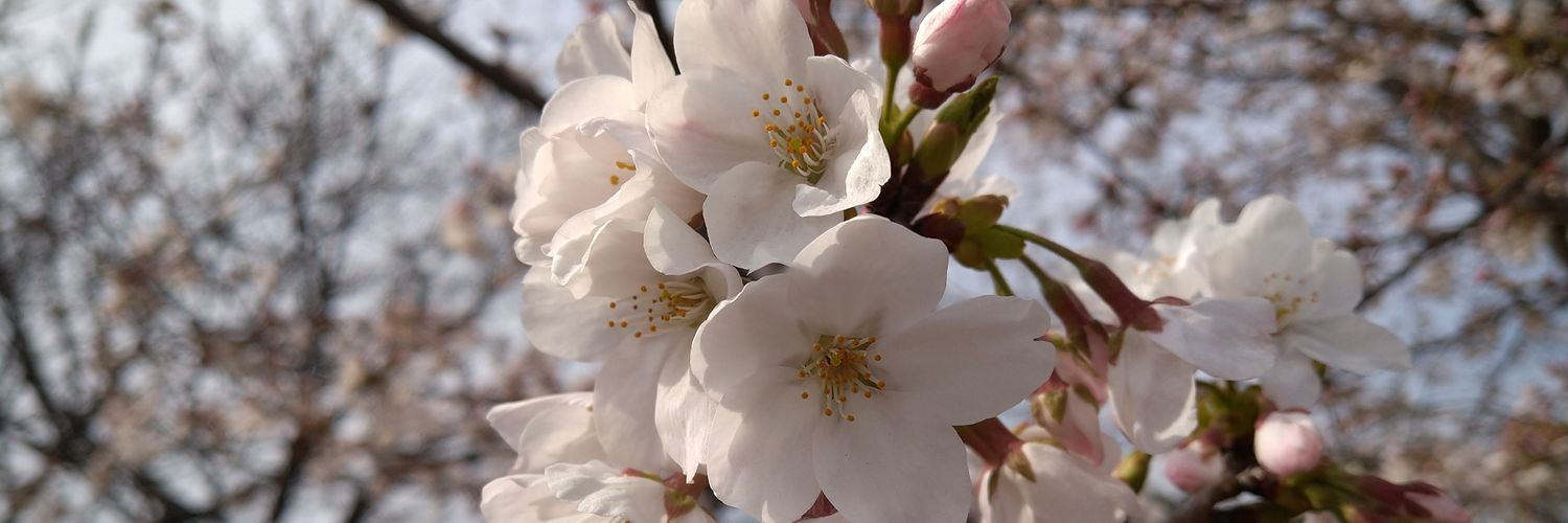 おなか弱き者、汝の名はおおひろなり banner