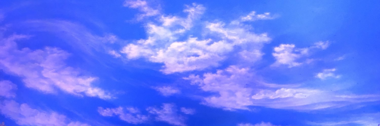 xoxoselestee's profile banner image