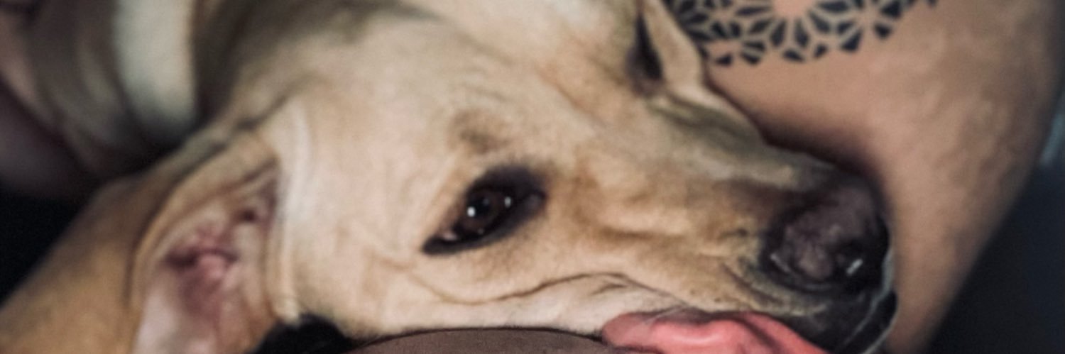 AurlienRichefe2's profile banner image