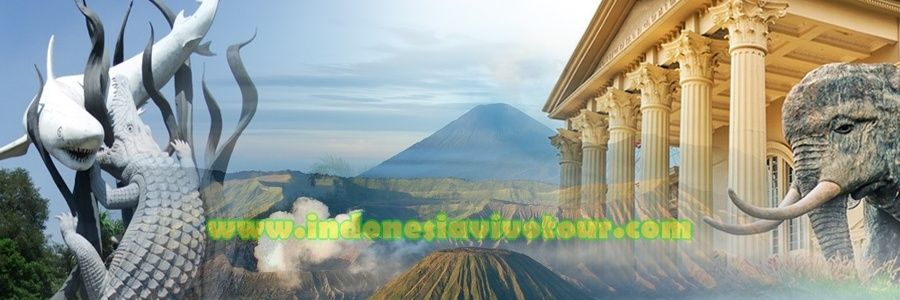 vivotoursby's profile banner image