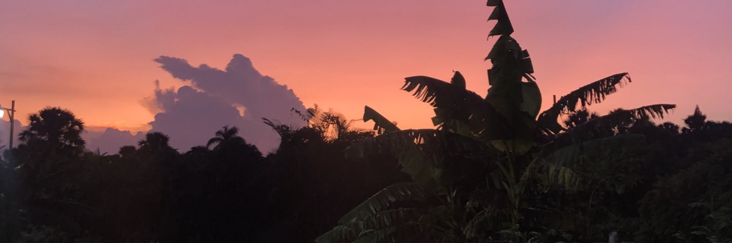 morgan_garside's profile banner image