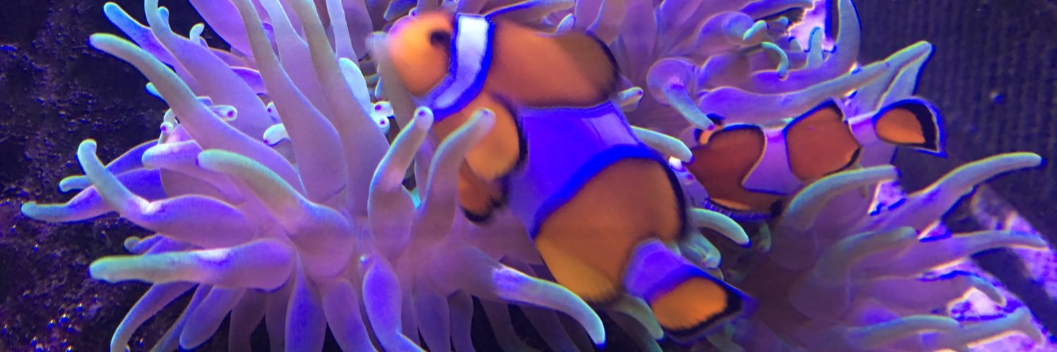 choward486's profile banner image