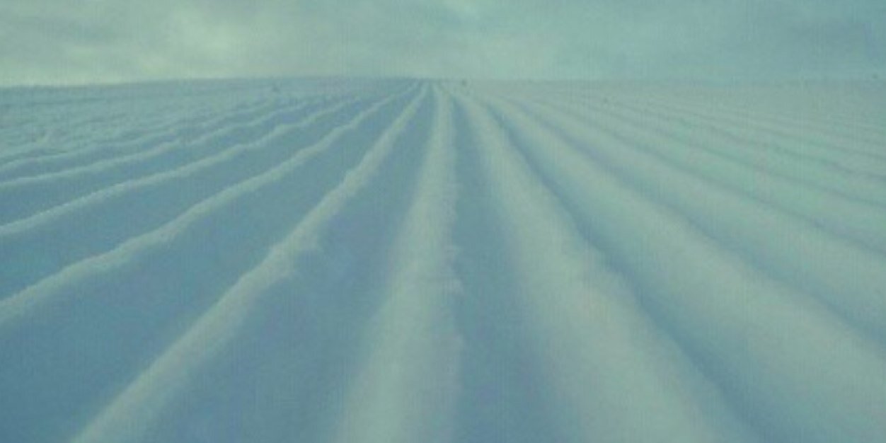 fridajnilsson's profile banner image