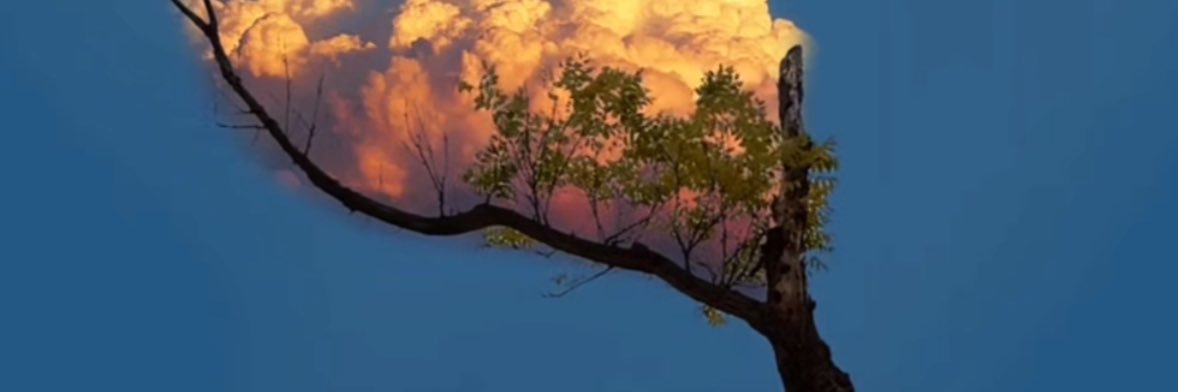 Spurious Copulation banner