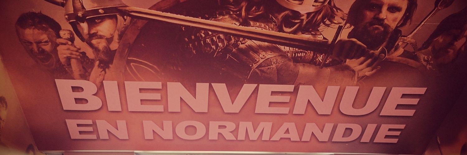 Vikinginho 🌻 banner