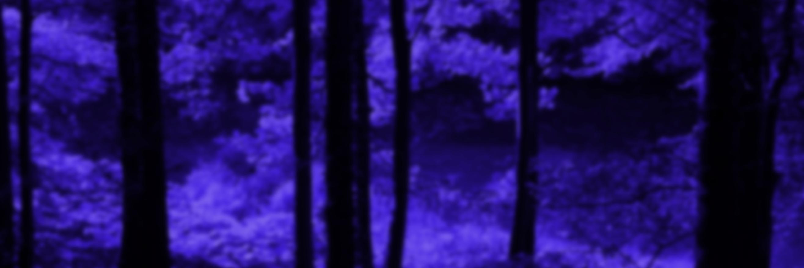 NoraDreaming's profile banner image