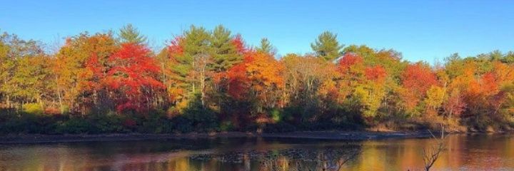 askchiefmac's profile banner image