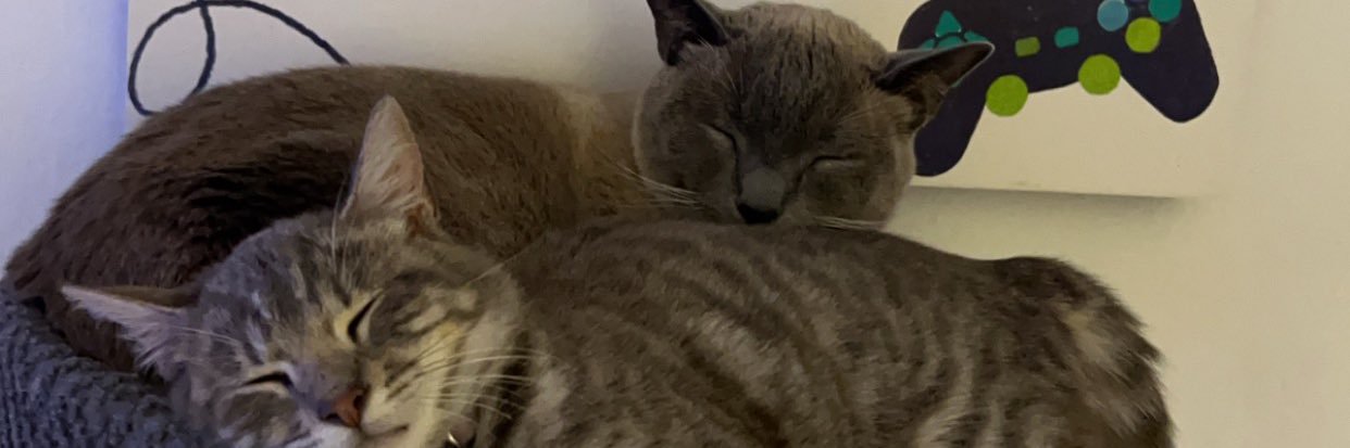 millietruong's profile banner image