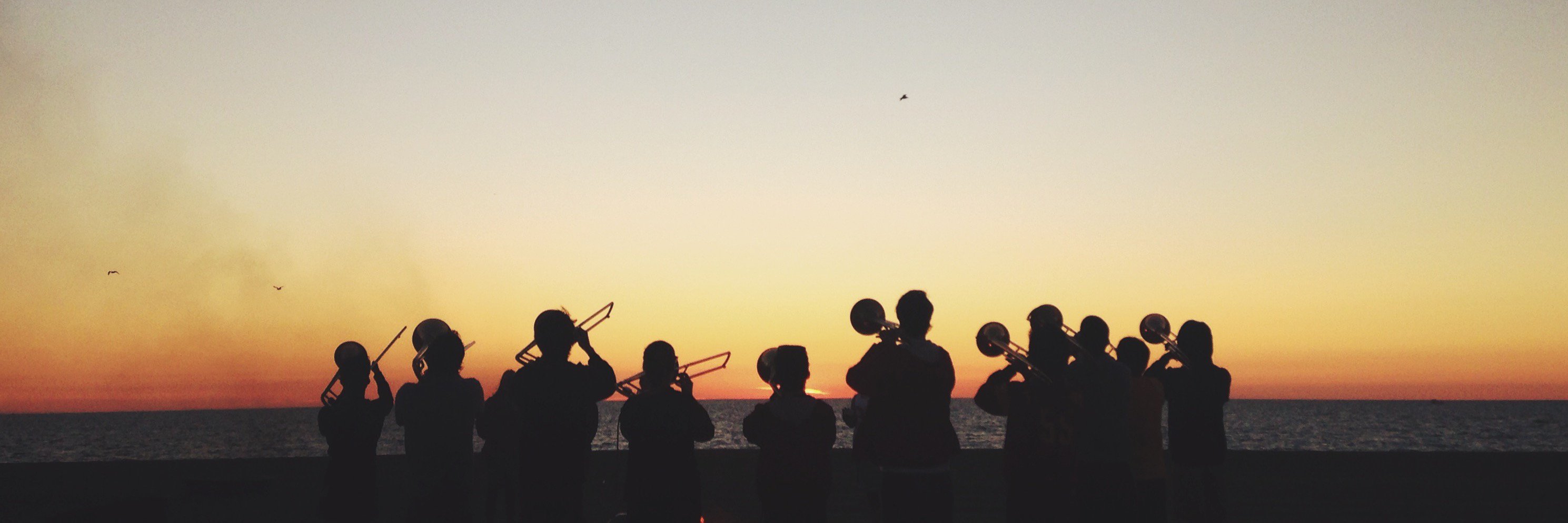 AddisonSalzman's profile banner image
