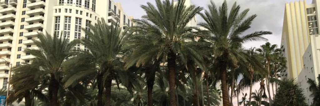 weezyfGRADY's profile banner image