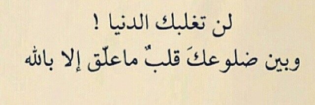 Wafa_hm's profile banner image