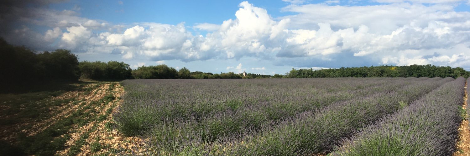 PATRICE DEBEAUPUIS banner
