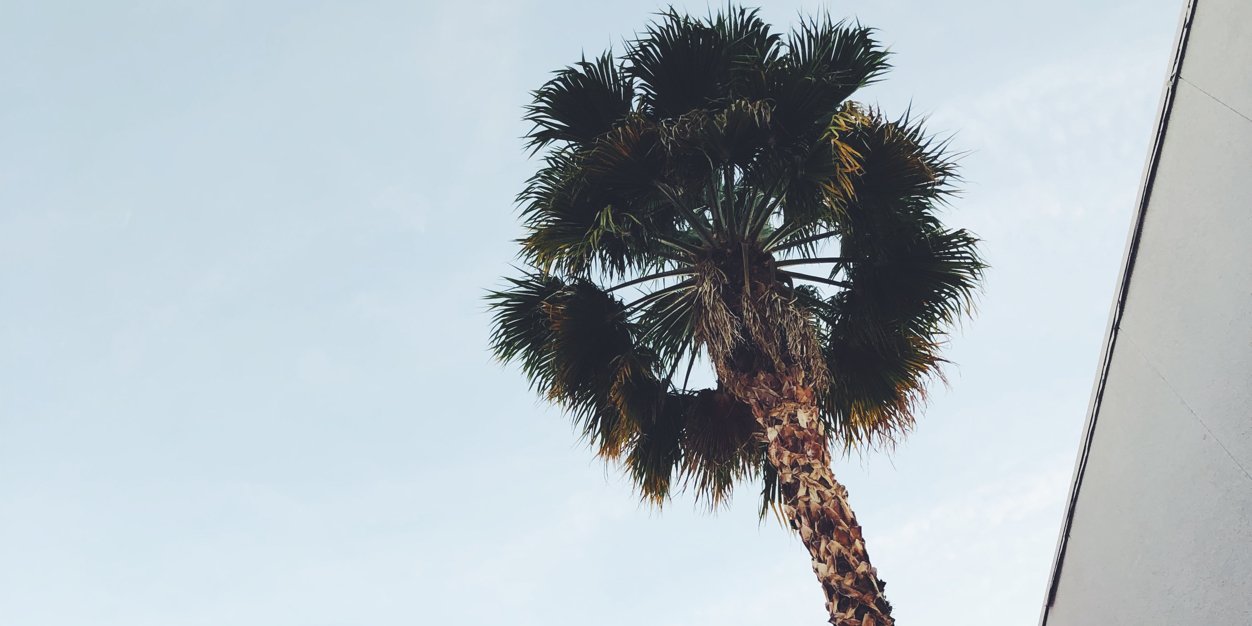 BoomCatBanga's profile banner image