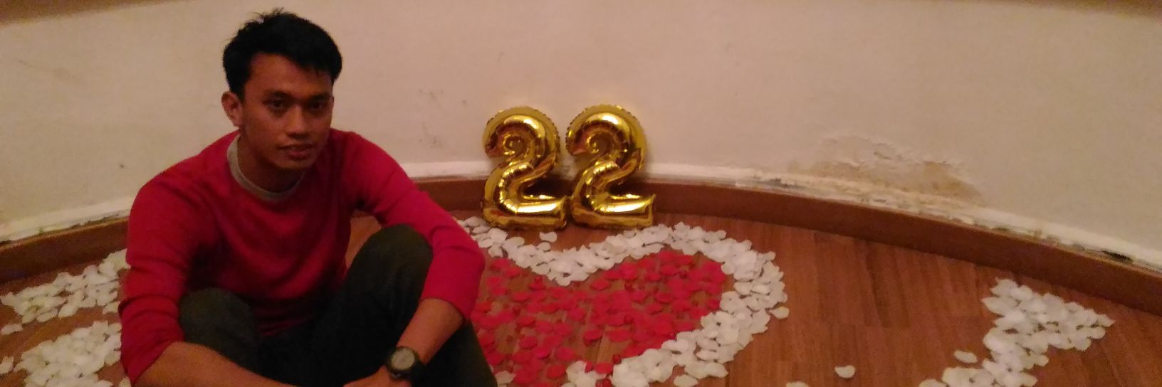hardylafsi's profile banner image