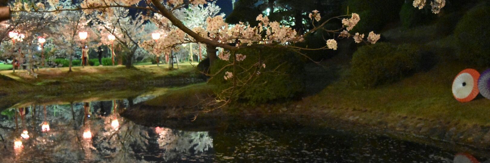 teipoko214's profile banner image