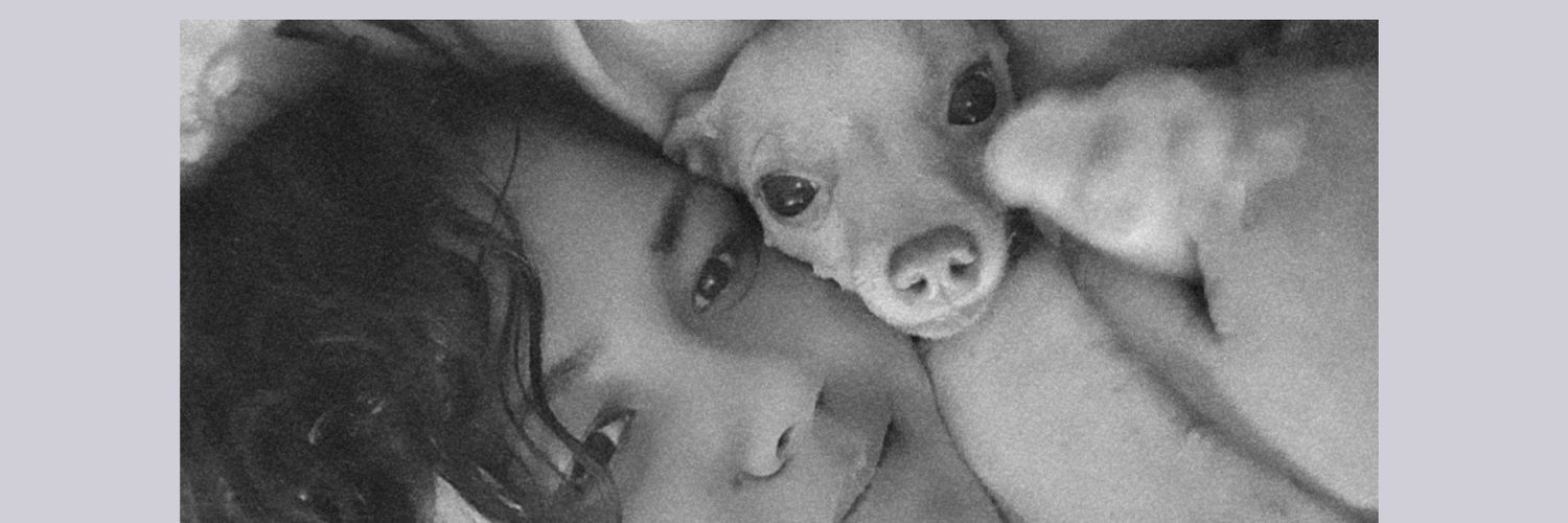 alinekleinn's profile banner image