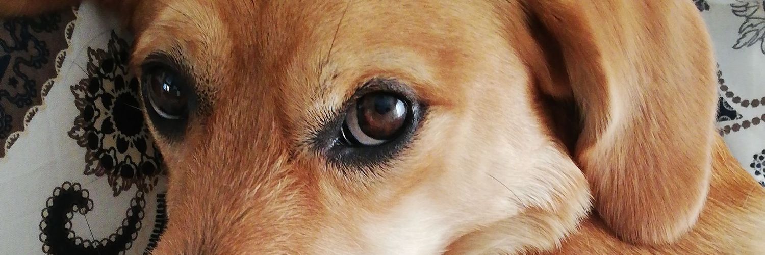 Paulasm7C's profile banner image