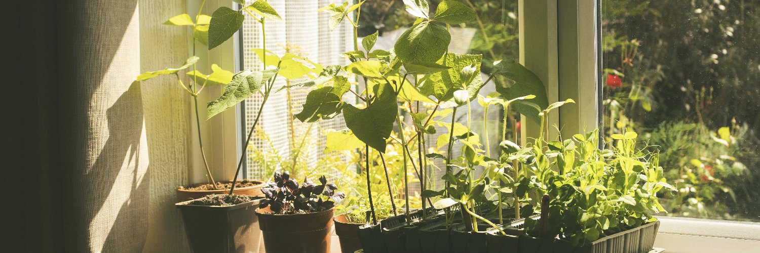 HomesteadingG's profile banner image