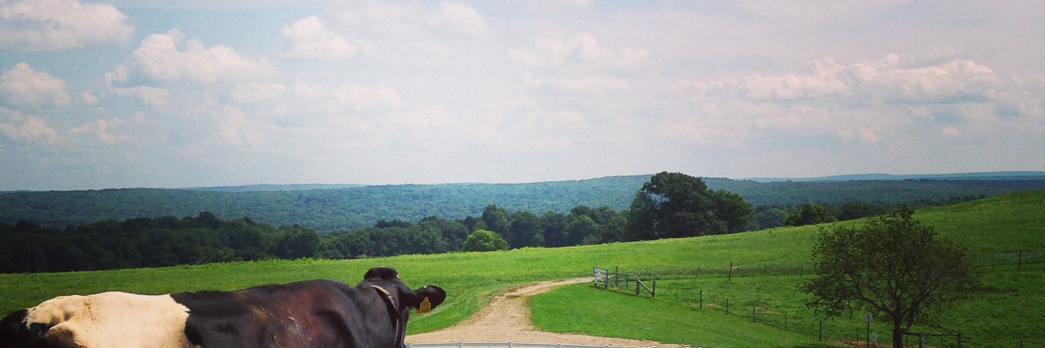 katejayy's profile banner image