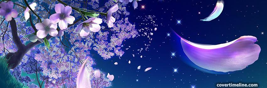 stefnrod's profile banner image