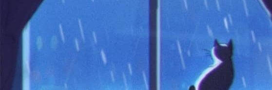 karim abdelmageed's banner