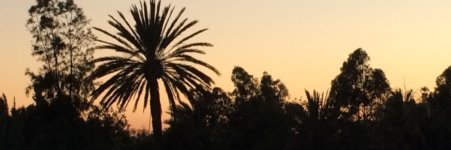 DanniLMason's profile banner image
