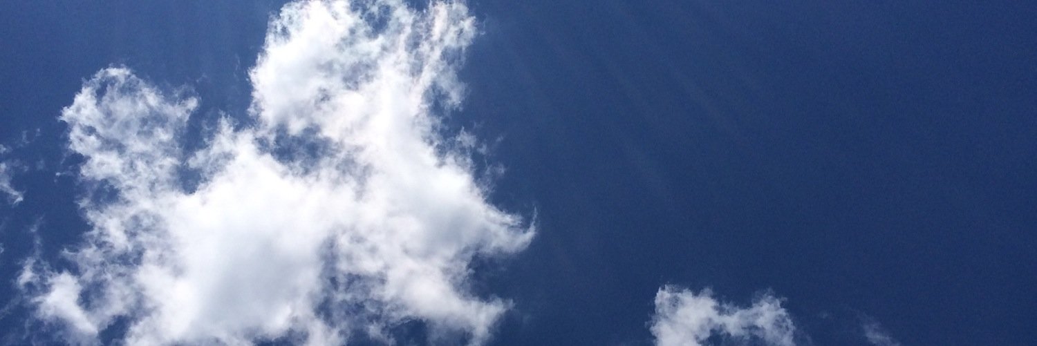 monicambailey's profile banner image