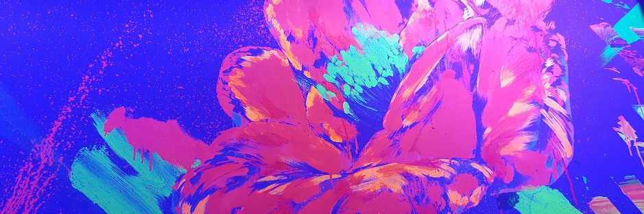 Ariane_Gras's profile banner image