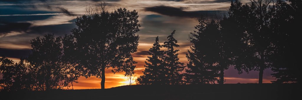 AllanThomas2015's profile banner image