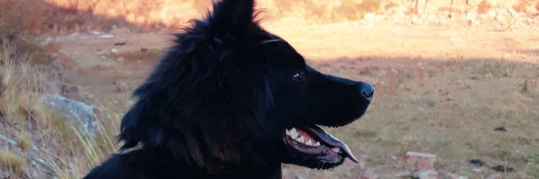 ViickyMaier99's profile banner image