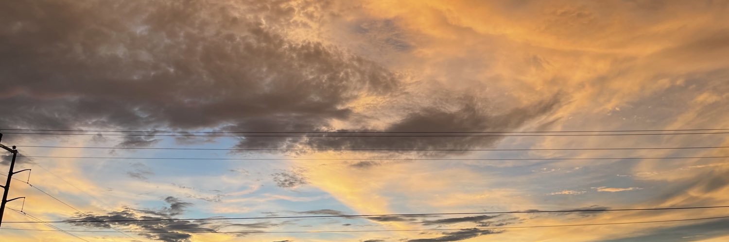 syrinadenise's profile banner image