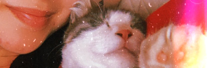DuddaRocha's profile banner image