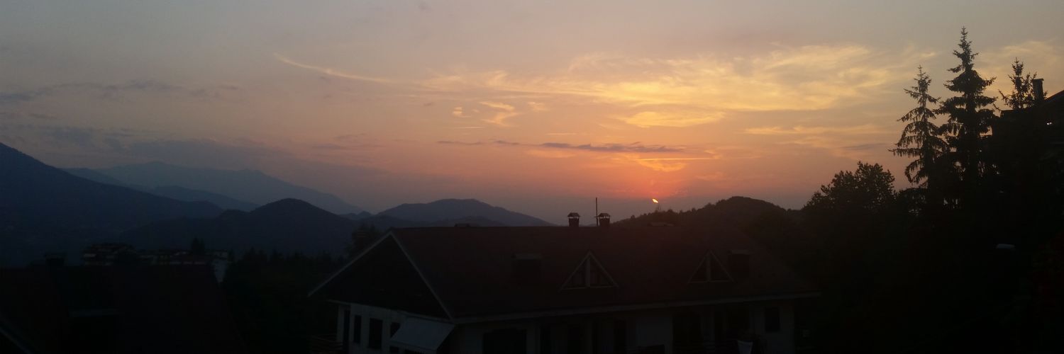 Dr. Alice Sibelli banner