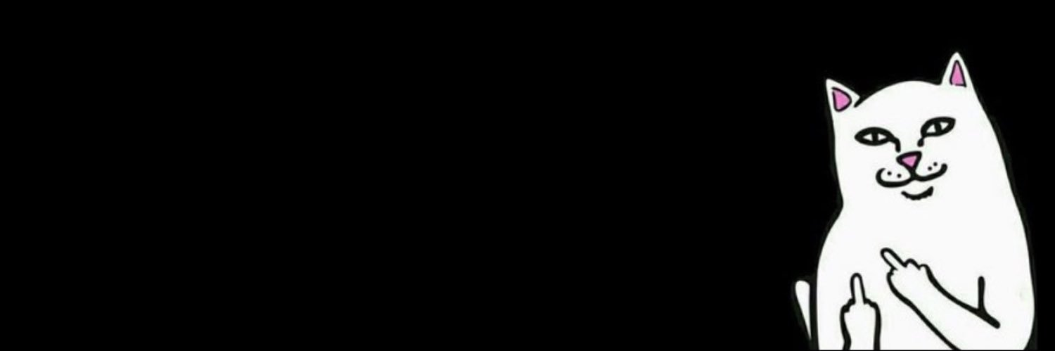 SpaceFLP's profile banner image