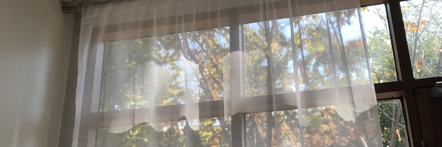 vanillinvanilla's profile banner image