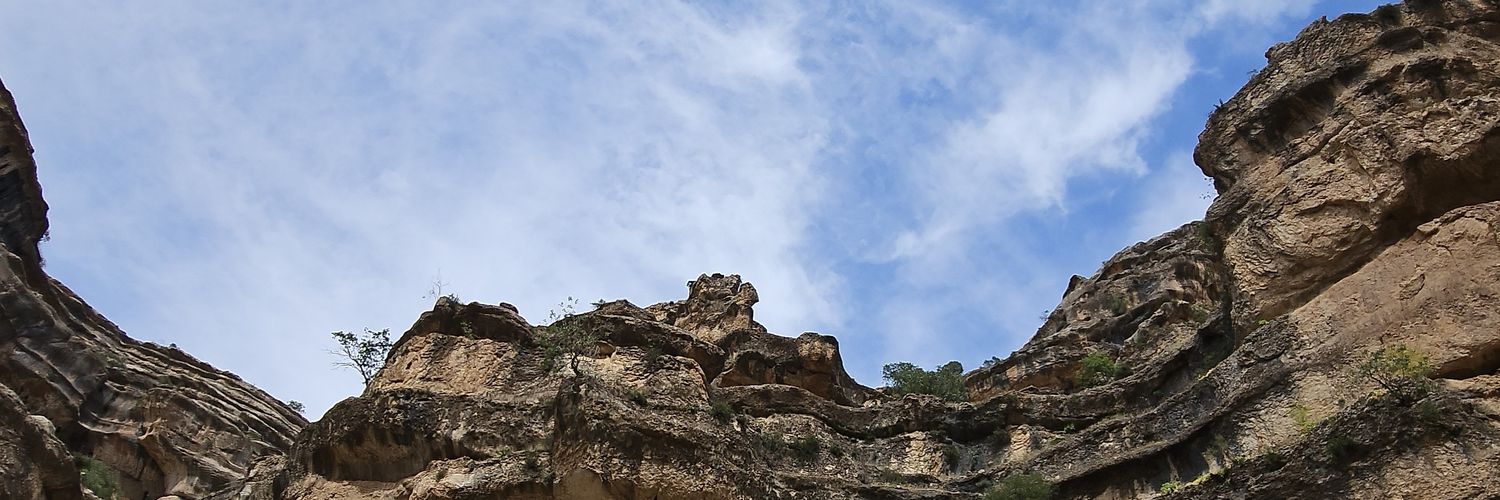 مهری بانو banner