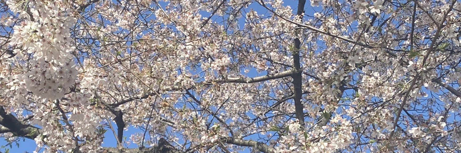 Dr. L. S. Coleman banner