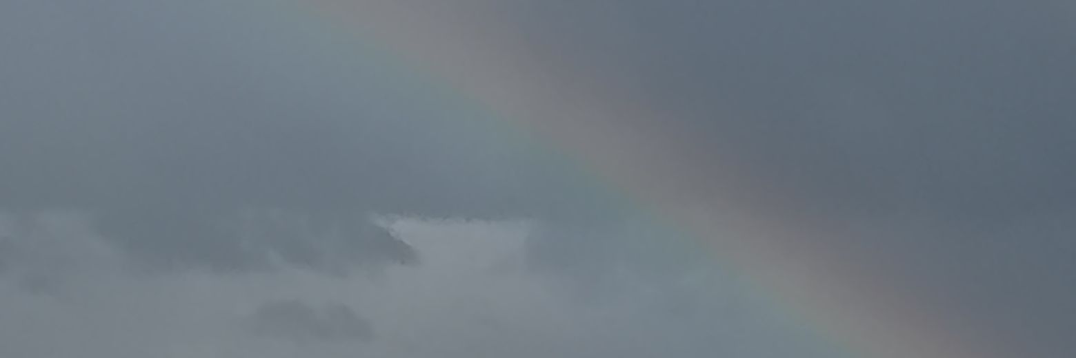 Daviz1983's profile banner image