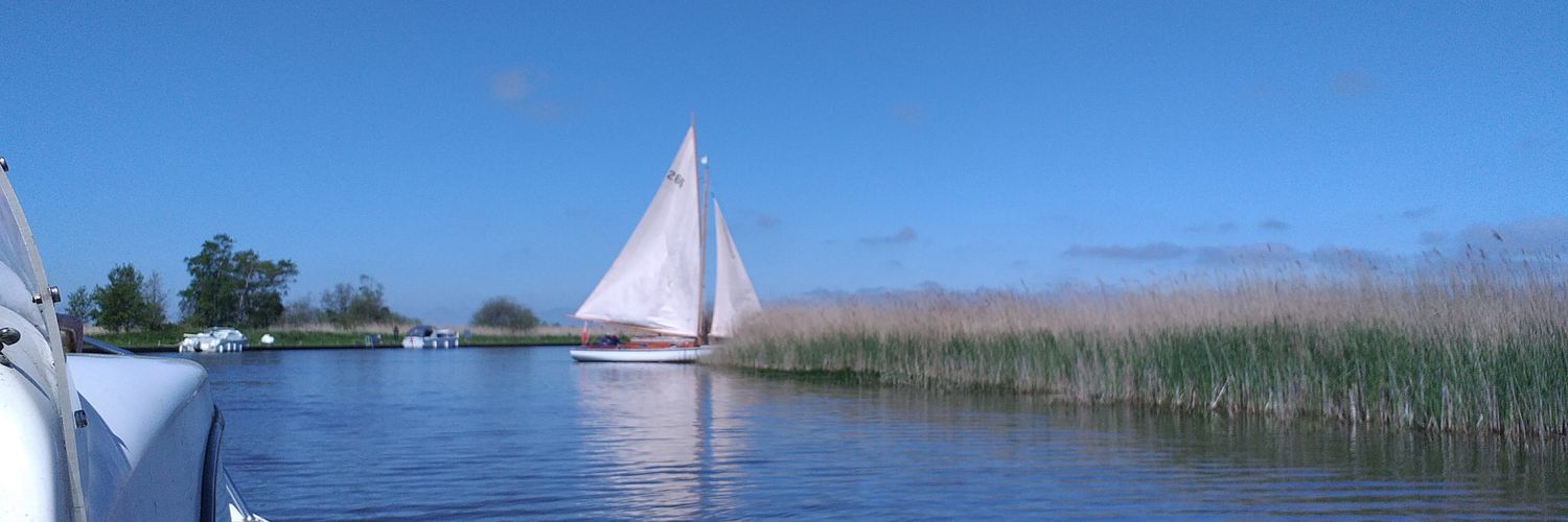 Alison Middleton 🌻🌻 banner