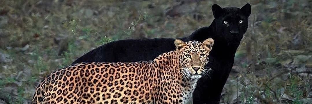 BryanByamugisha's profile banner image