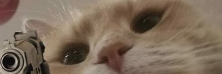 alyssuhkyle's profile banner image