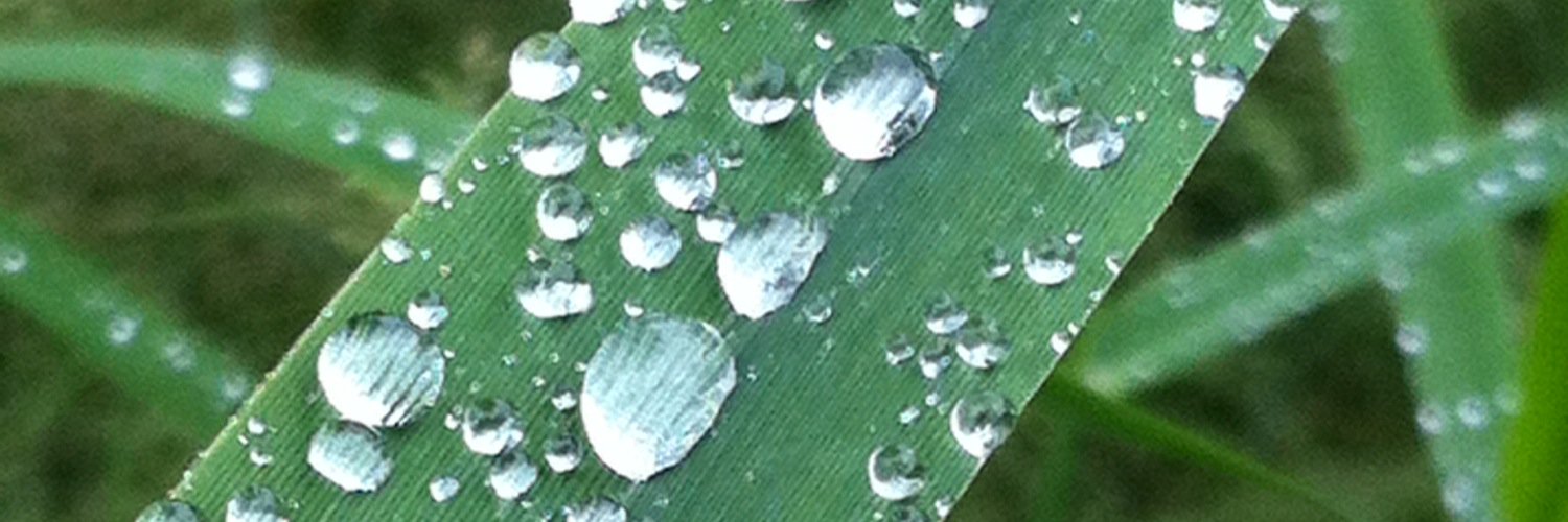 growing_lad's profile banner image