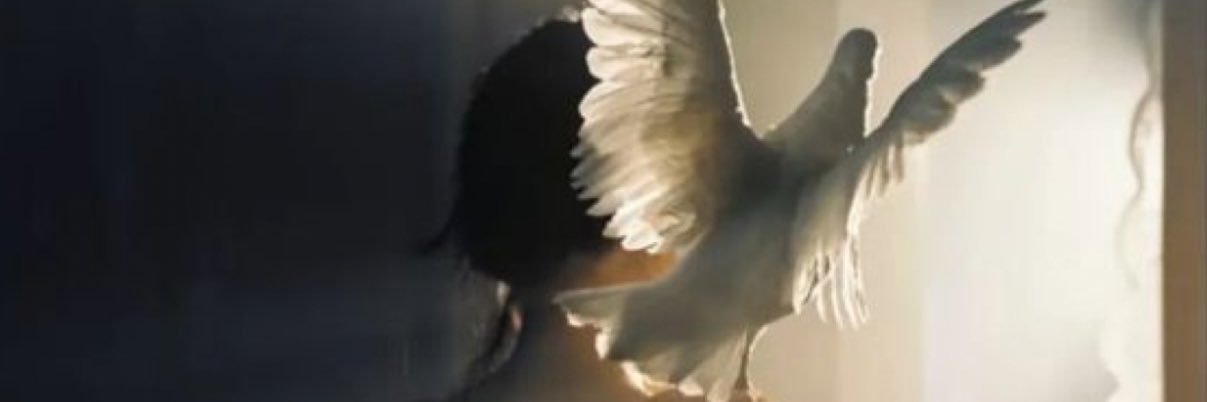 rmt1414's profile banner image