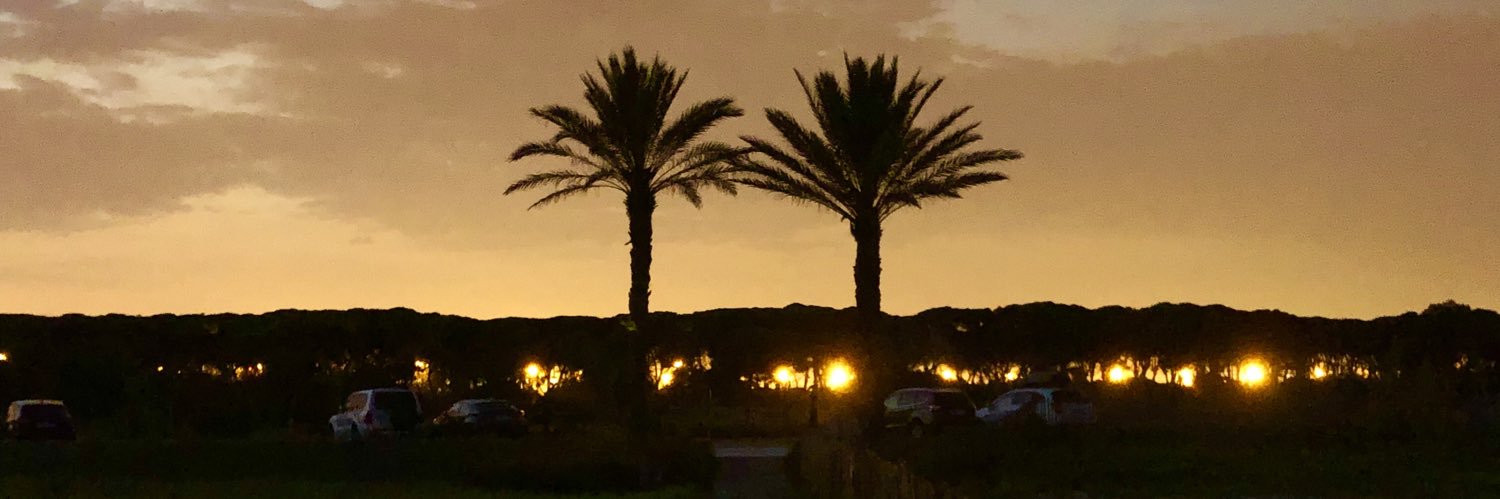 mserraelv's profile banner image