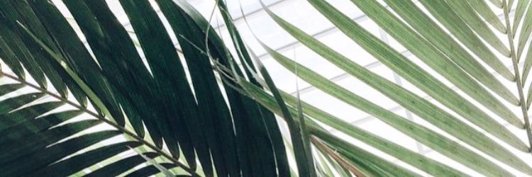 byamberj's profile banner image